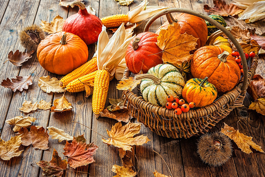 image of table with basket of small pumpkins and leaves