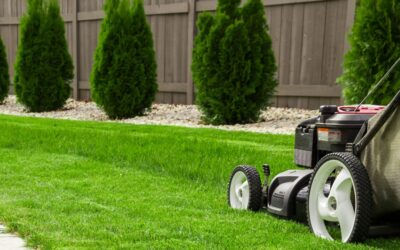 Landscaping Business